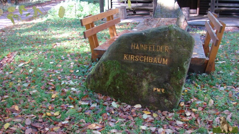 Ritterstein Nr. 077-2 Hainfelder Kirschbaum.JPG - Ritterstein Nr.77  Hainfelder Kirschbaum